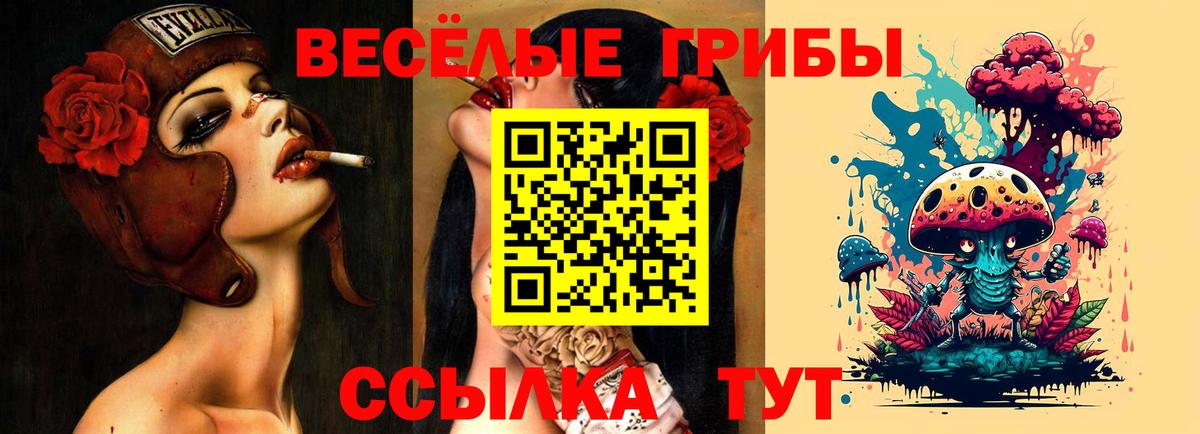 Псилоцибиновые грибы мицелий  Псилоцибиновые грибы мицелий  Вход с VPN  Новочебоксарск 